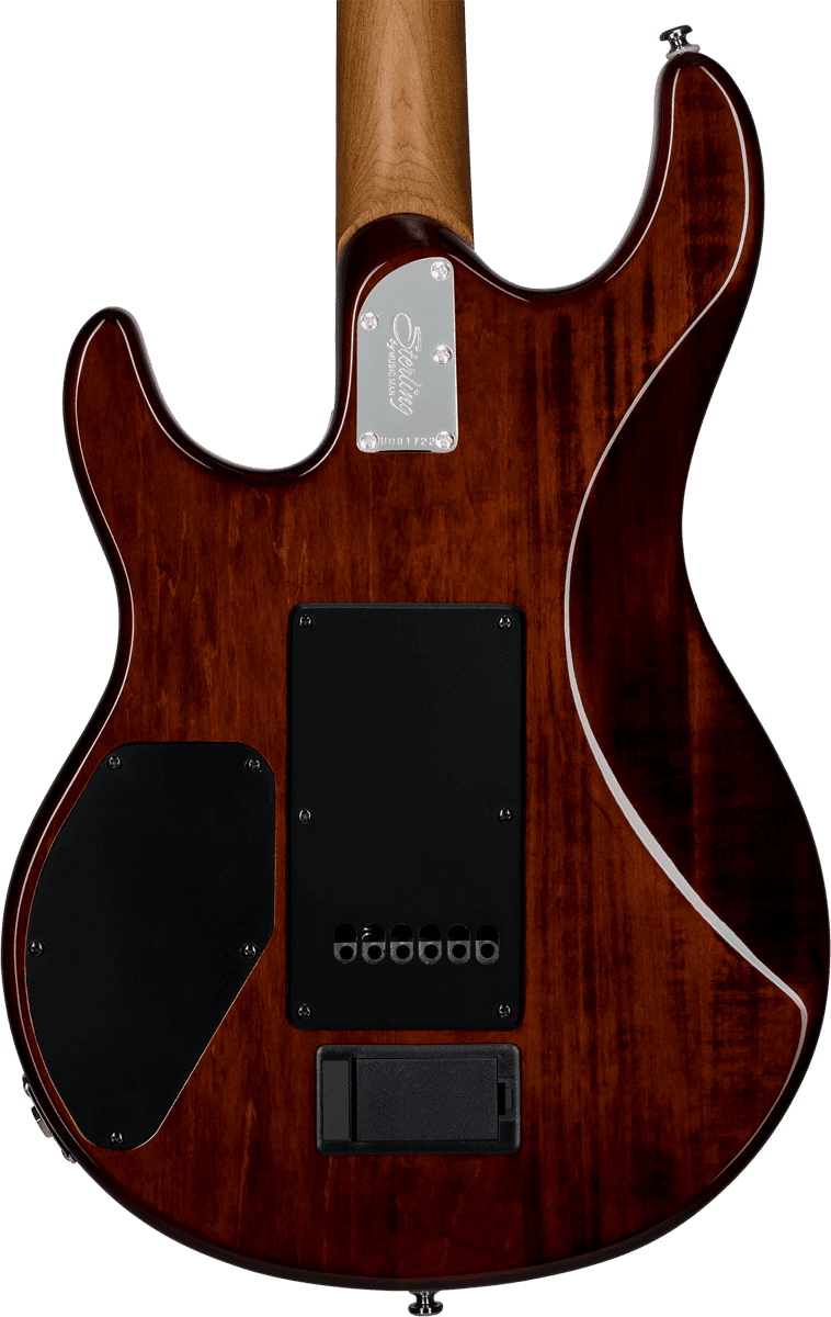 Luke Gevlamd Esdoorn Hazel Burst