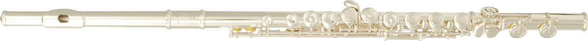 SML Paris TRANSVERSE FLUTE BEGINNER FL300E