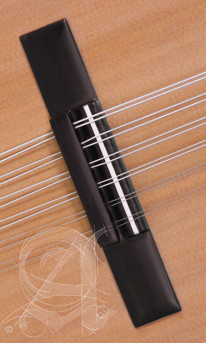 Student L-2C Op Lutes + 9534 Gigbag