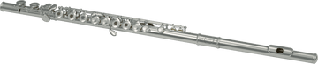 FL300R FLUIT - STUDIE