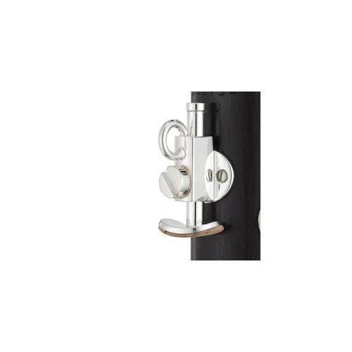 YCL650 Bes (17 Verzilverde Kleppen)
