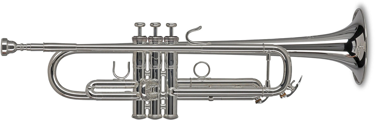 Vision TR172S Bes Verzilverde