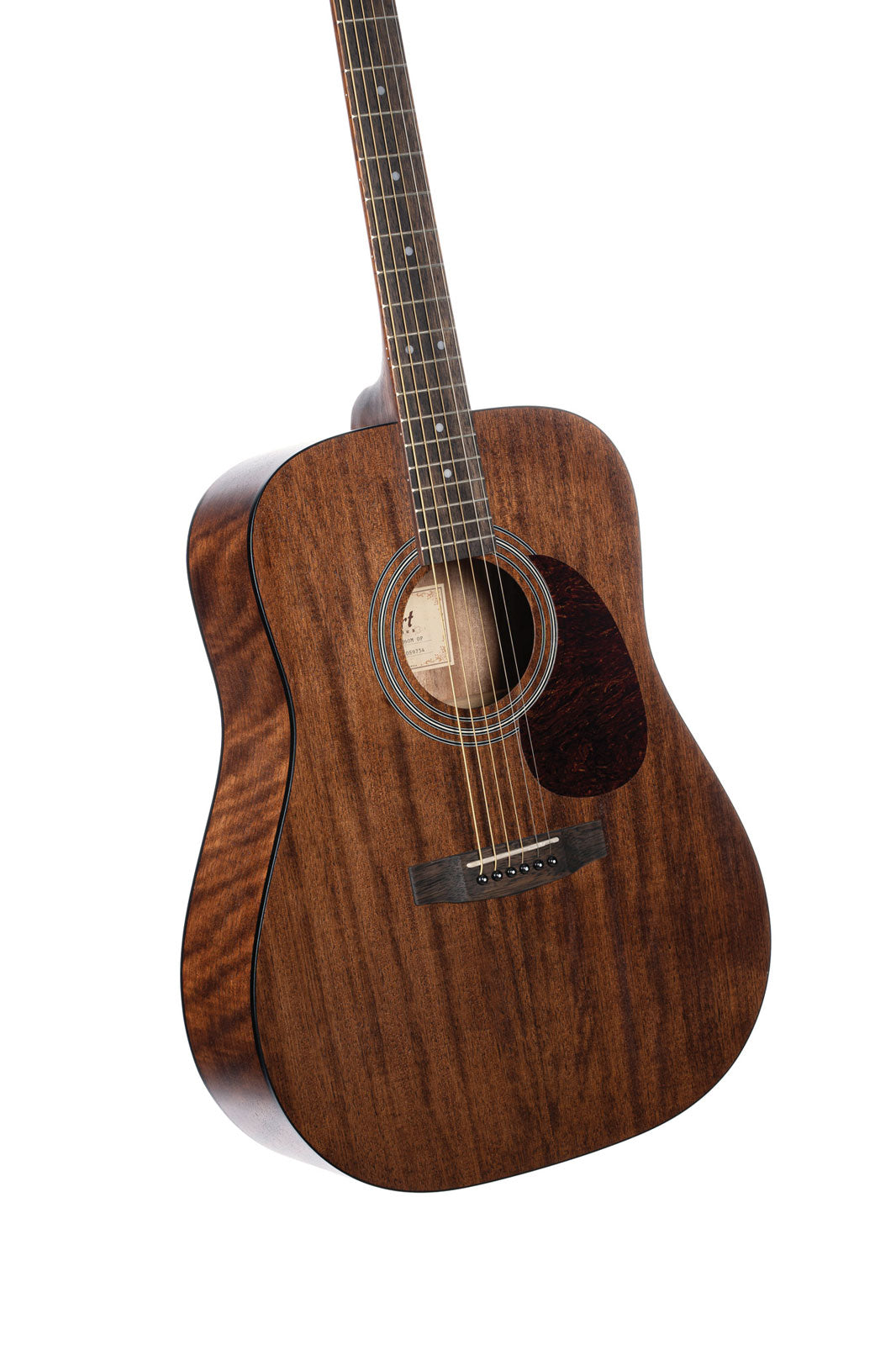 Gitaar Earth60M Naturel
