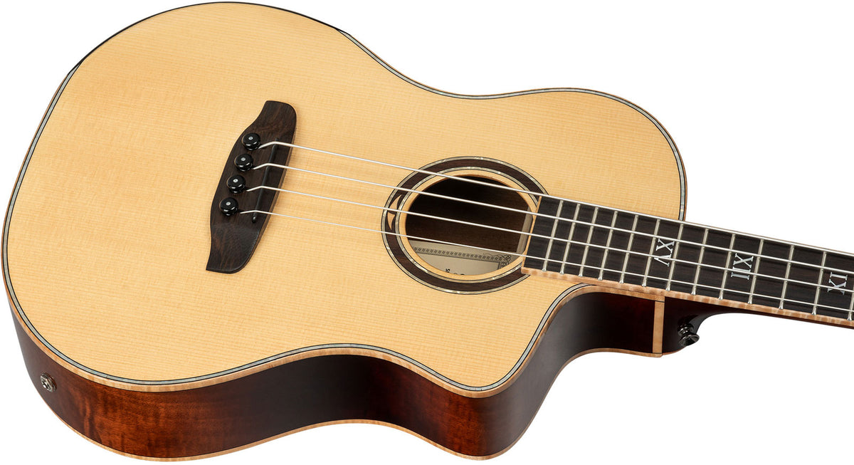 Basgitaar Signature Ken Taylor