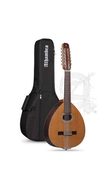 Student L-3C Lutes + 9534 Gigbag