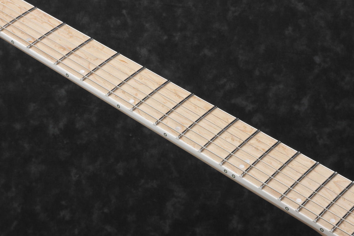 RG5120M-PRT Poollicht Prestige