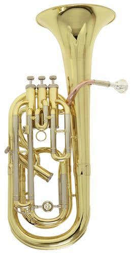 Roy Benson BH-302 - 4 VALVES (3 TOP + 1 SIDE ACTION)