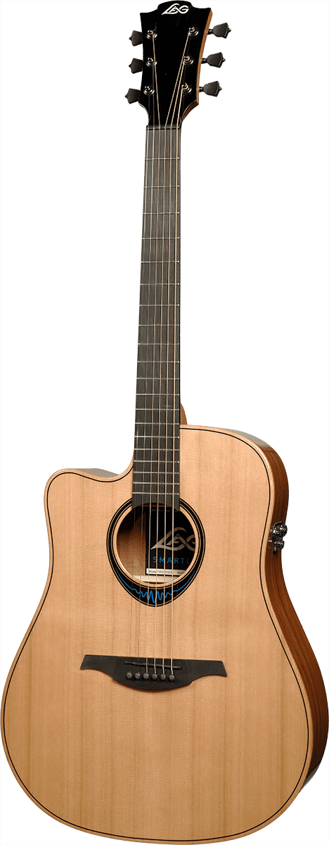 Bluewave 2 TLBW2DCE Dreadnought Cutaway Linkshandig