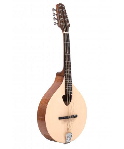 Gold Tone Traditional Irish Alto Mandolin With Case