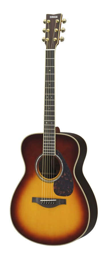 Ls16S A.R.E Bruin Sunburst