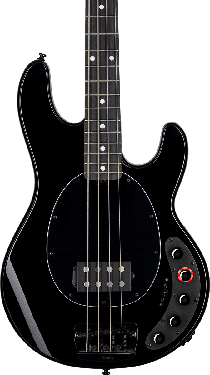 Dark Ray Stingray Met Darkglass-elektronica