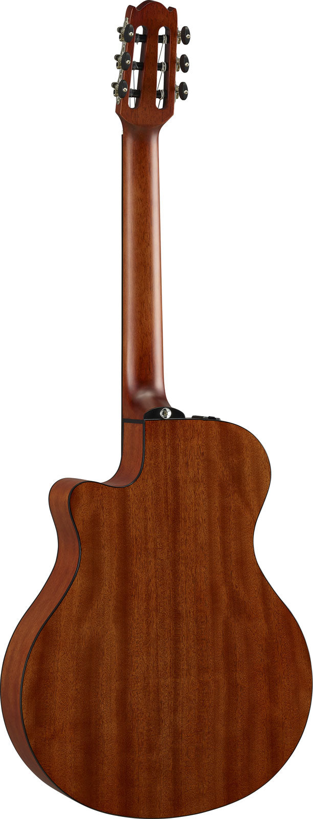 Ntx1 Bruin Sunburst