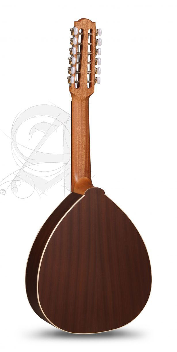 Student L-2C Op Lutes + 9534 Gigbag