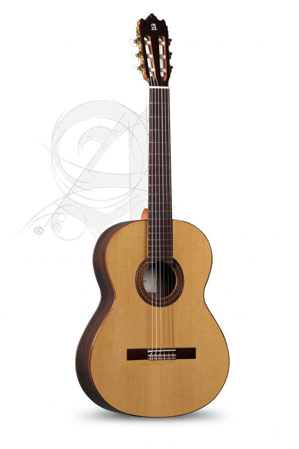 Student Iberia Ziricote + 9738 25mm Gigbag
