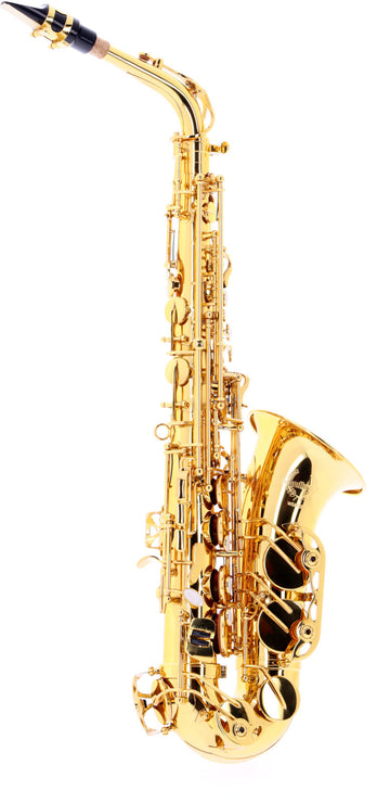 WSA300 - Alt Mi B Verni