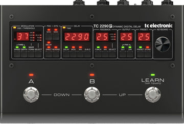 2290 P Dynamische digitale delay