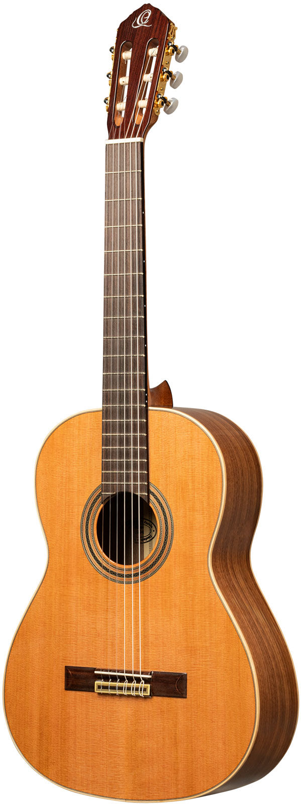 Traditional 4/4 6 LH + Pro-gigbag