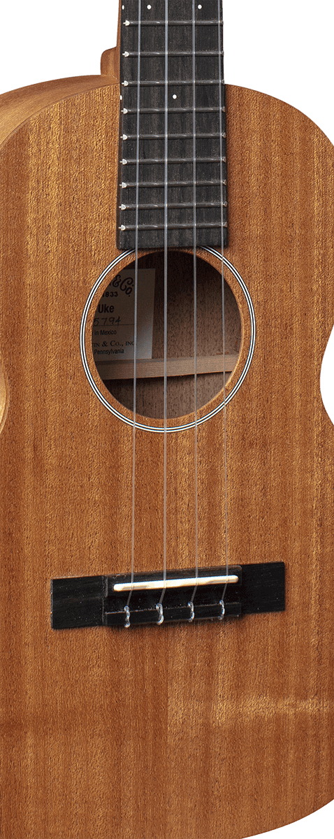 Ukelele T1
