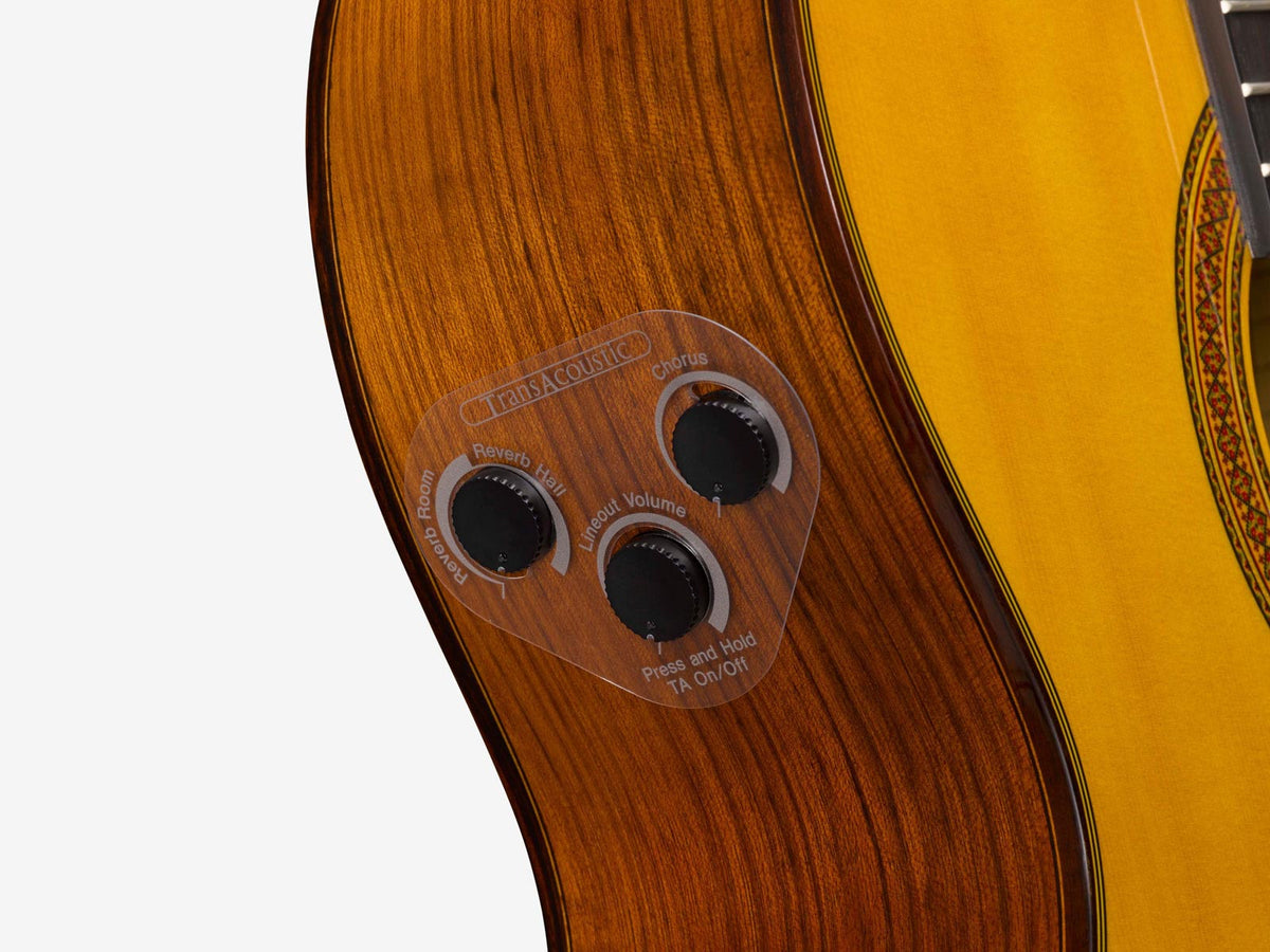 cg-ta transacoustic naturel