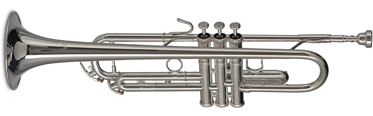 Vision TR372RS Bes Verzilverde