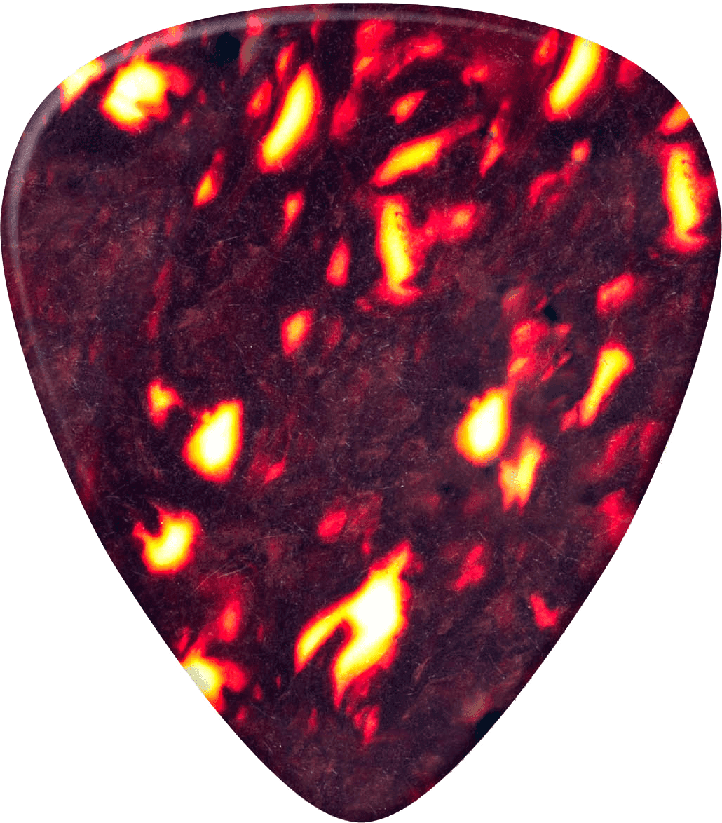 12 x dunne plectrums van schildpad celluloid