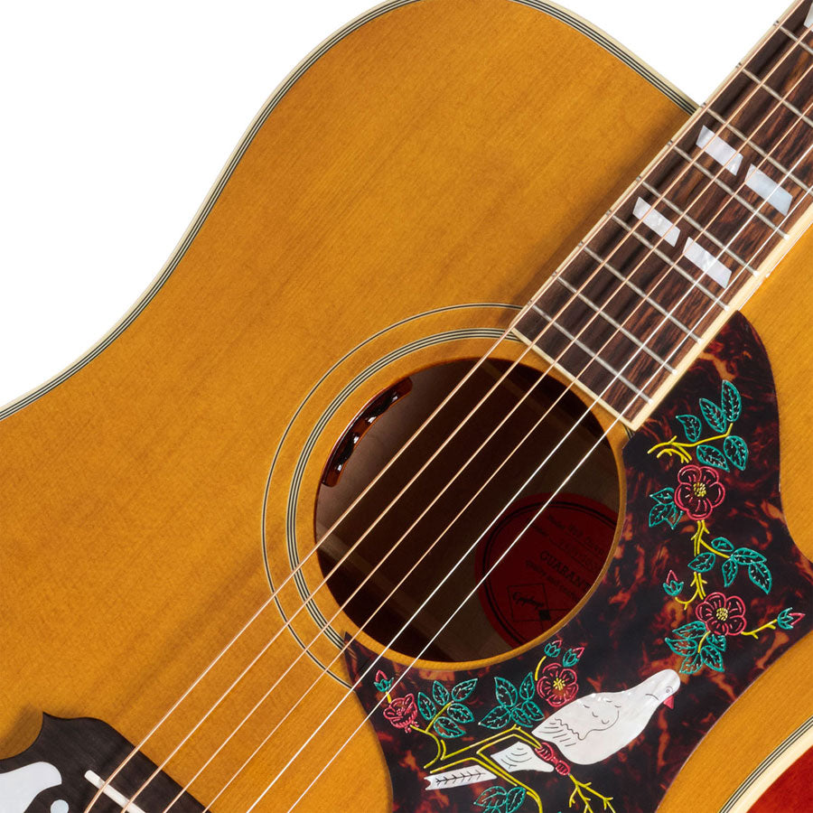 Dove 1963 Reissue Natural IBGCS
