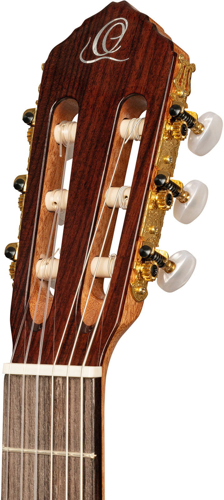 Traditional 4/4 6 LH + Pro-gigbag