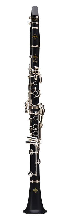 Prodige Bes (17 Verzilverde Kleppen) - BC2541-2-0
