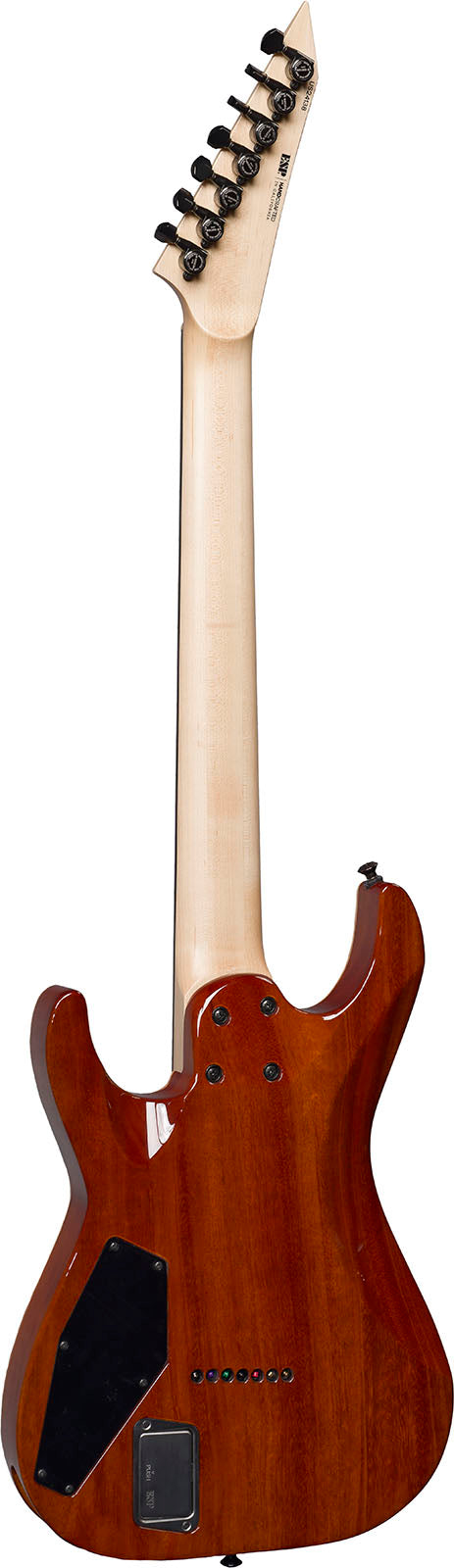 M7 Donkerpaarse Sunburst