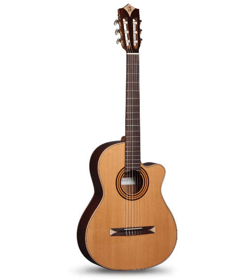 Concert Cs-1 Cw E1 Crossover + 9738 25mm Gigbag