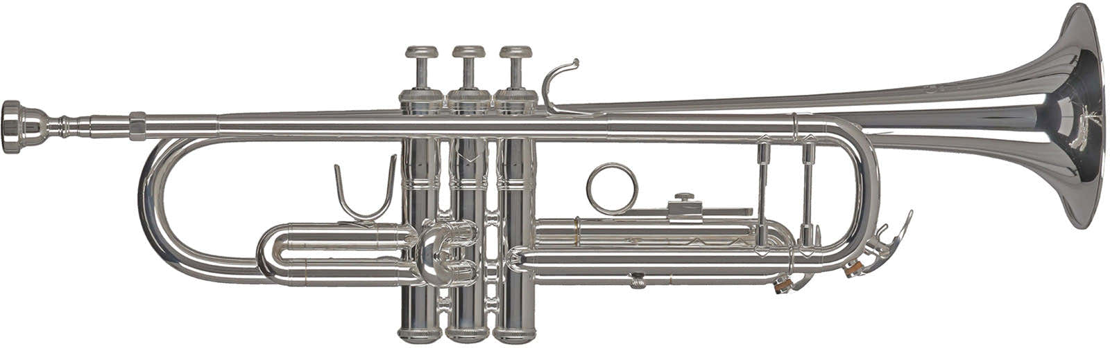 Ambition TR501S Bes Verzilverd