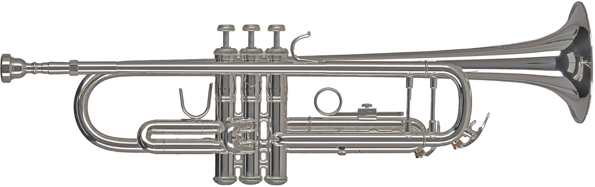 Ambition TR501S Bes Verzilverd