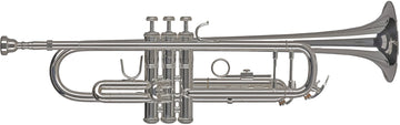 Ambition TR501S Bes Verzilverd