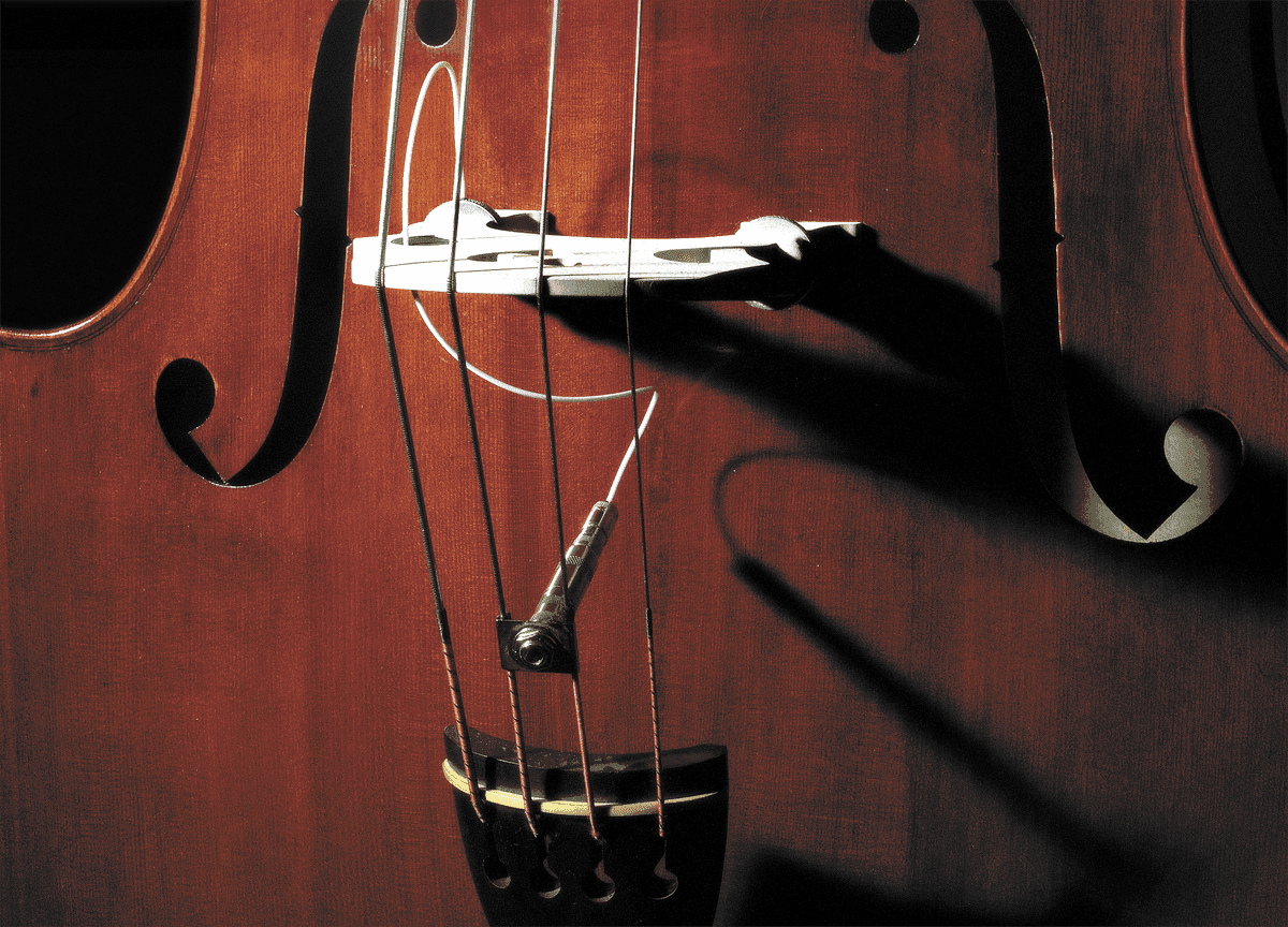 Fishman FULL CIRCLE UPRIGHT BASS PICKUP