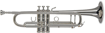 Vision TR372S Bes Verzilverde