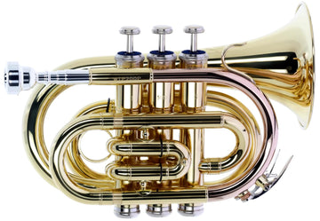 WTP200P - Bb vernist