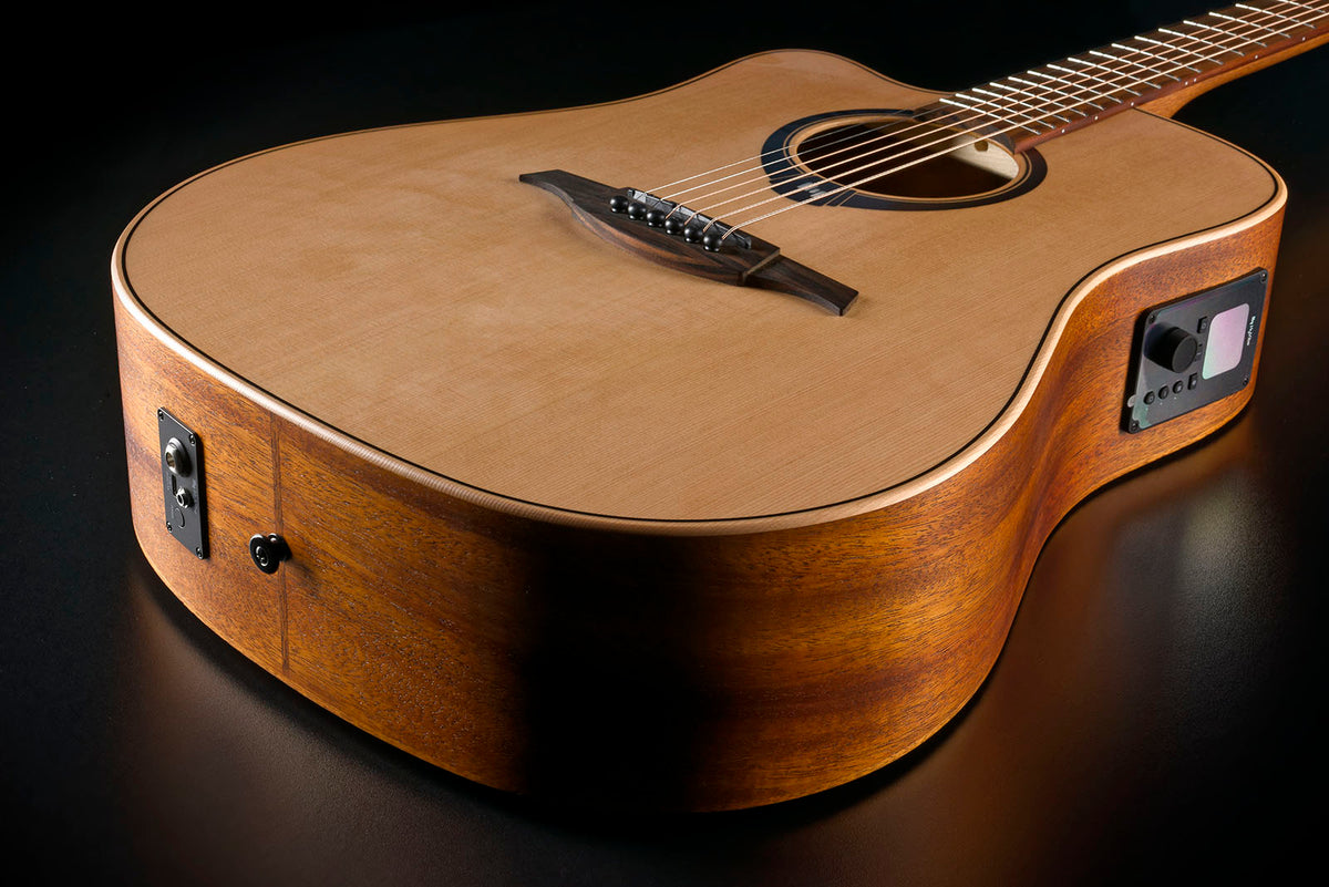 HyVibe 2 Serie 10 Dreadnought Linkshandig CW