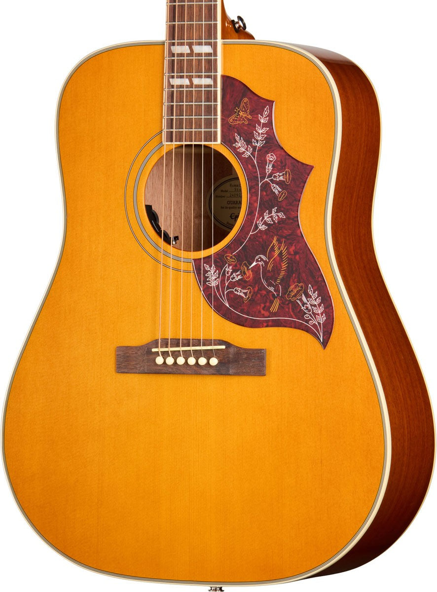 Hummingbird Studio Natural