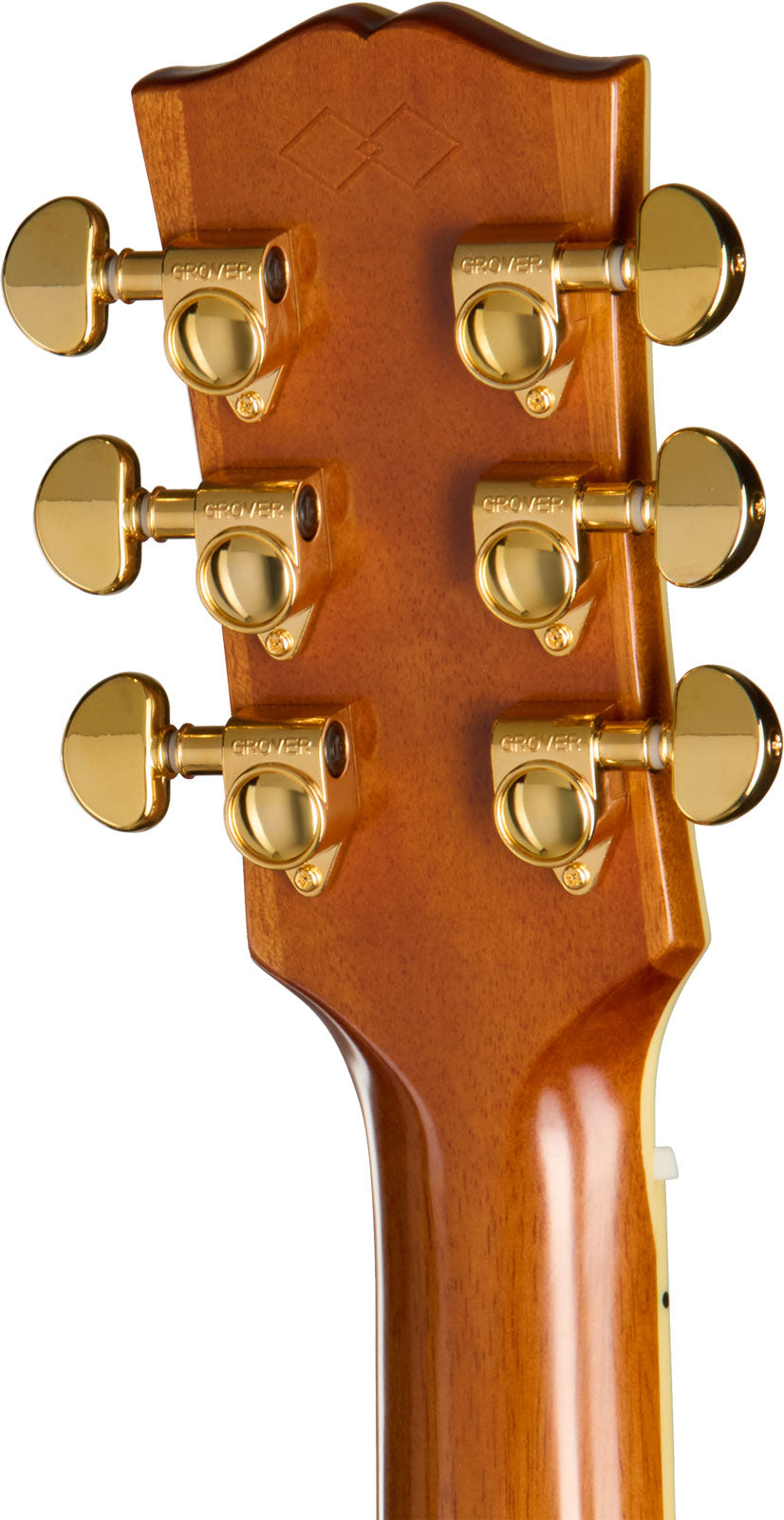 Hummingbird Deluxe EC Autumn Burst IBGCS