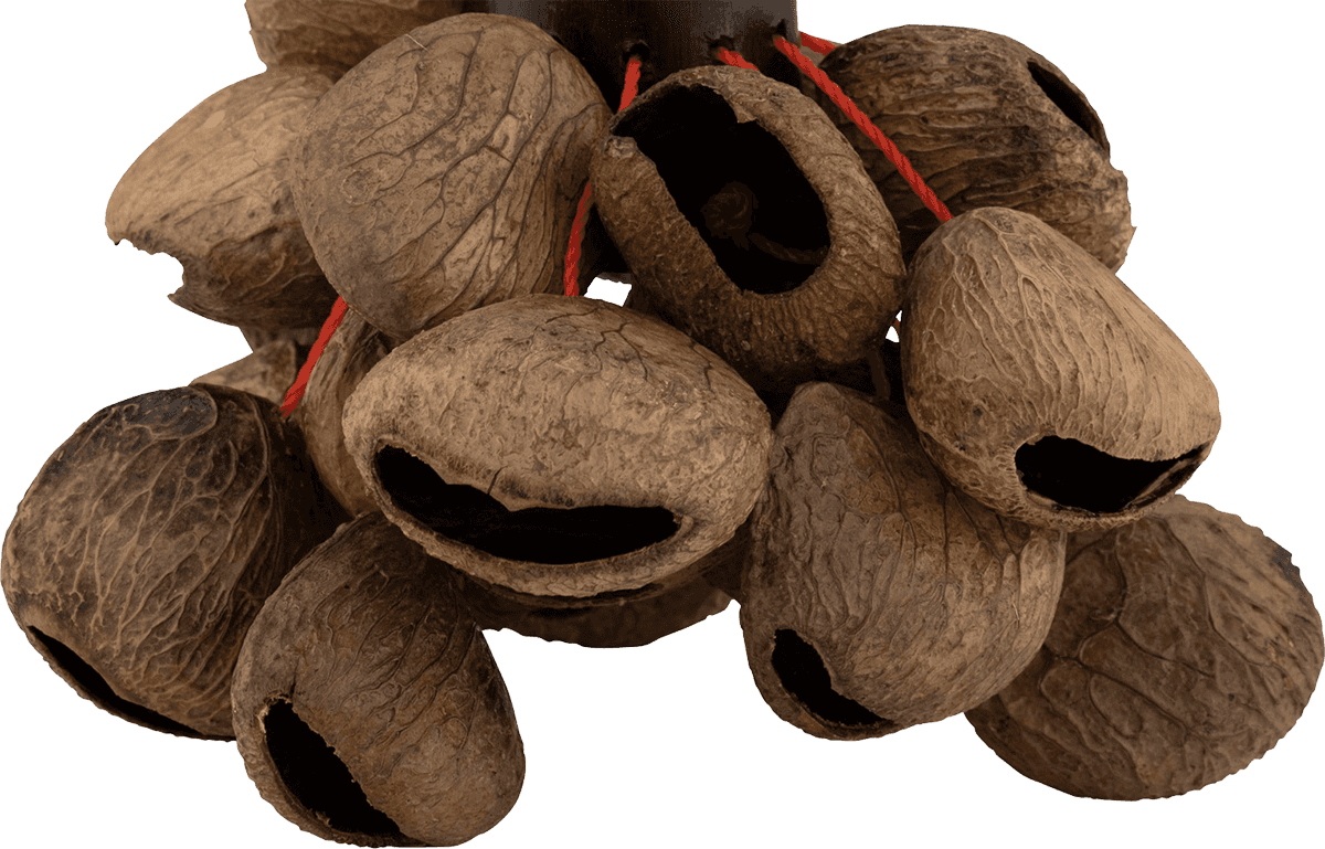 PBPGRH14 PANGI NUT SHAKER WITH ROPE HANDLE