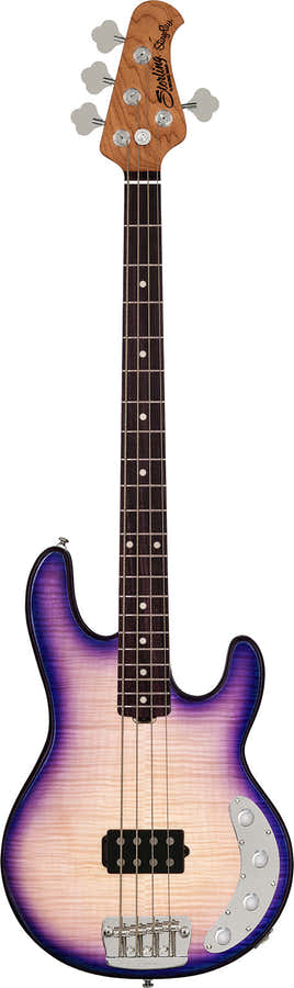 Ray34 Gevlamd esdoorn Purple Sunset