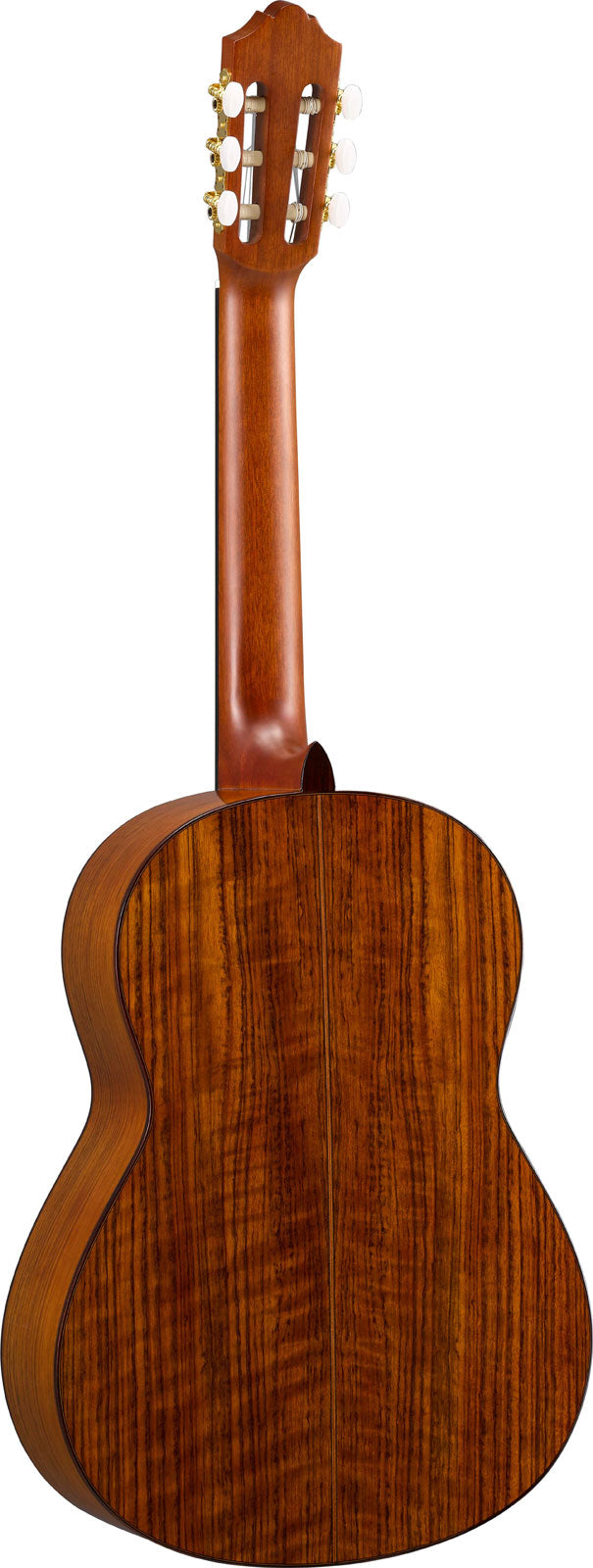 cg-ta transacoustic naturel