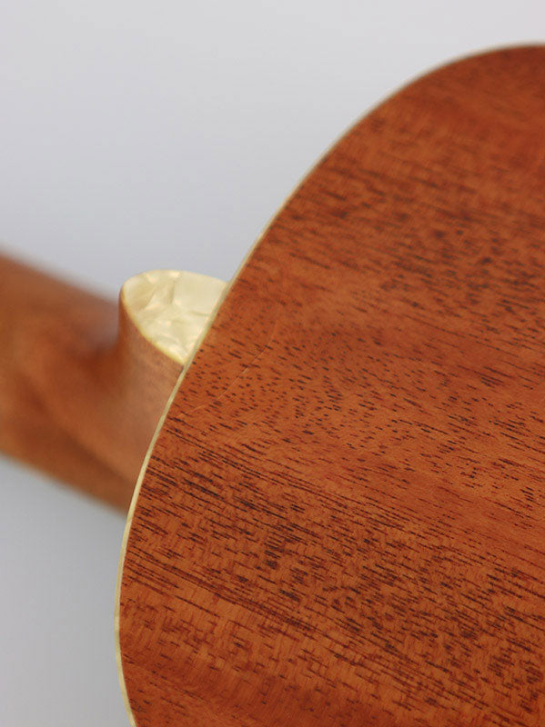 B-Stock / Brooklyn Green Archtop, Tenor, geleverd met koffer