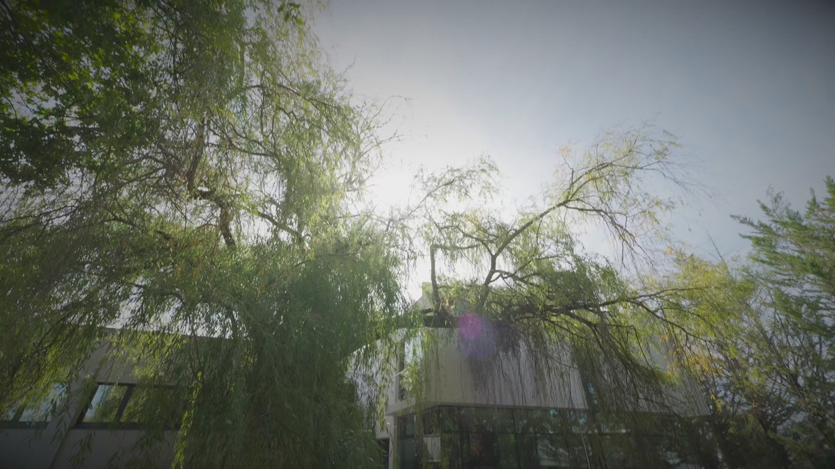 Video laden: 